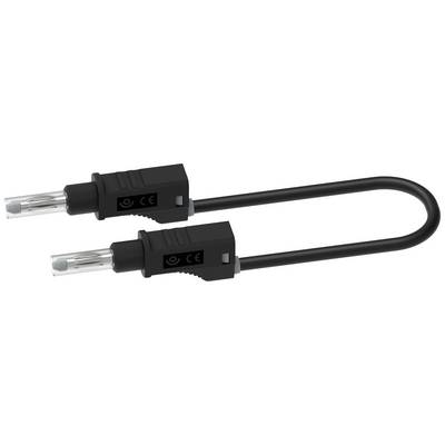 En svart dragkabel med två transparenta kontakter i ändarna, ofta använd för elektroniska anslutningar.