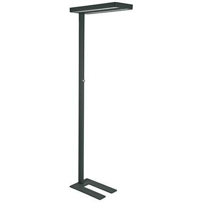 Modern, svart golvlampa med rektangulär skärm, lämplig för samtida vardagsrum eller kontor.