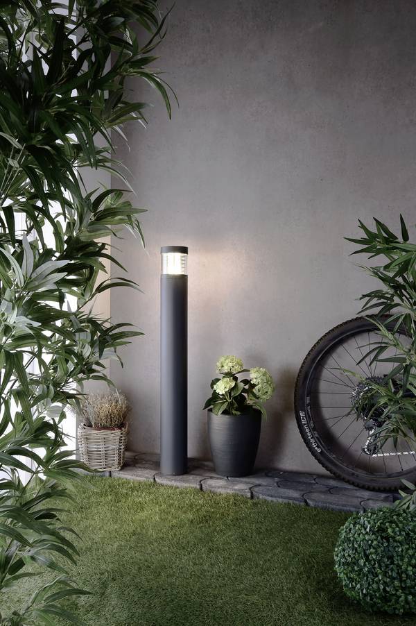 Deko Light Ortis 733004 Utomhusmarkbelysning LED LED fast installerad 15.90 W EEK: G (A - G) Mörkgrå