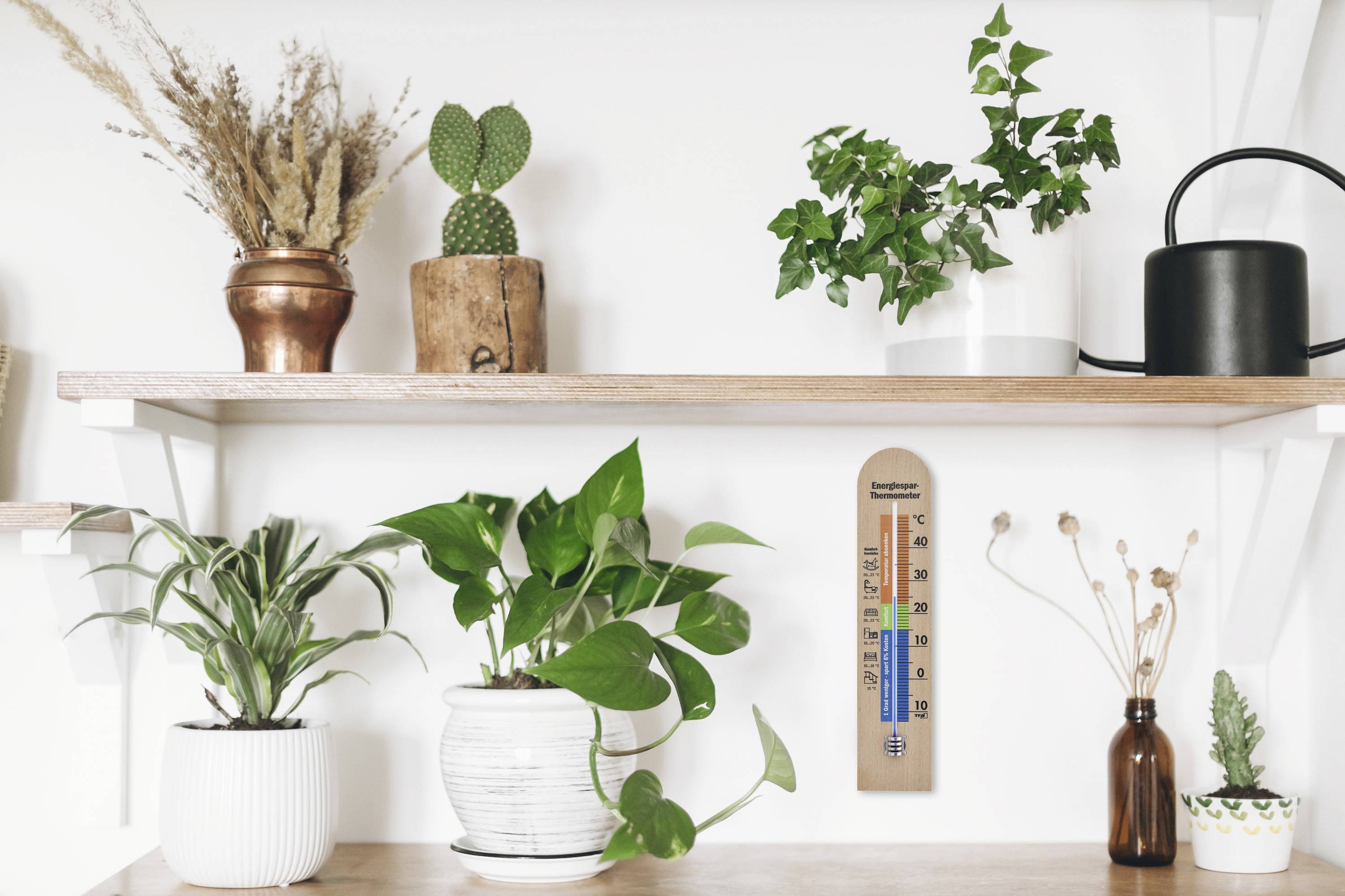 Flera plantor i krukor står på två träställningar vid en vit vägg. Ett termometer hänger mellan växterna.