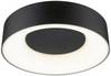 Paulmann 71096 Casca LED-takbelysning LED LED fast installerad 16 W Svart (matt)