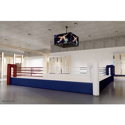 En tom boxningsring i en sporthall, med en skärm i taket som visar en wrestlingmatch.