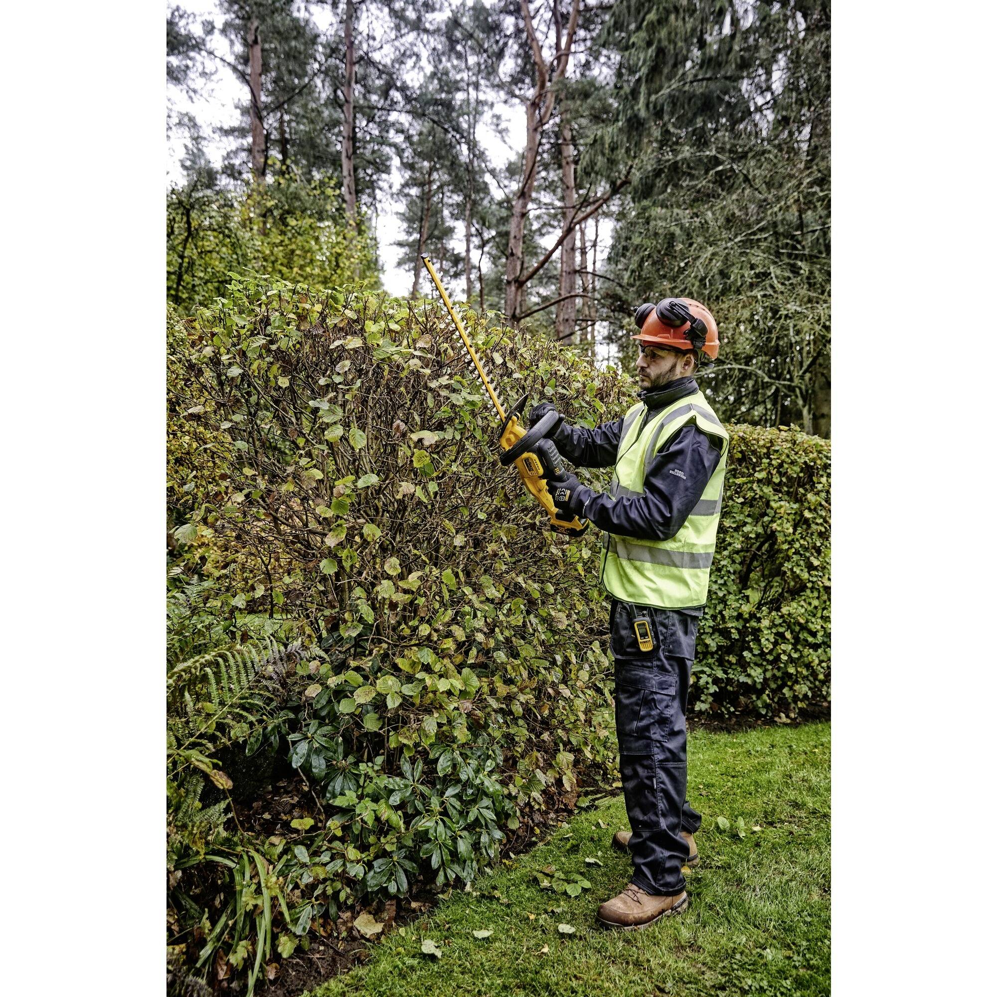 En person i skyddskläder klipper en häck i en trädgård med en elektrisk häcksax.