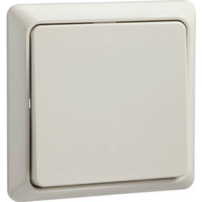 Enkel, beige strömbrytare i närbild på väggen, klassisk design.