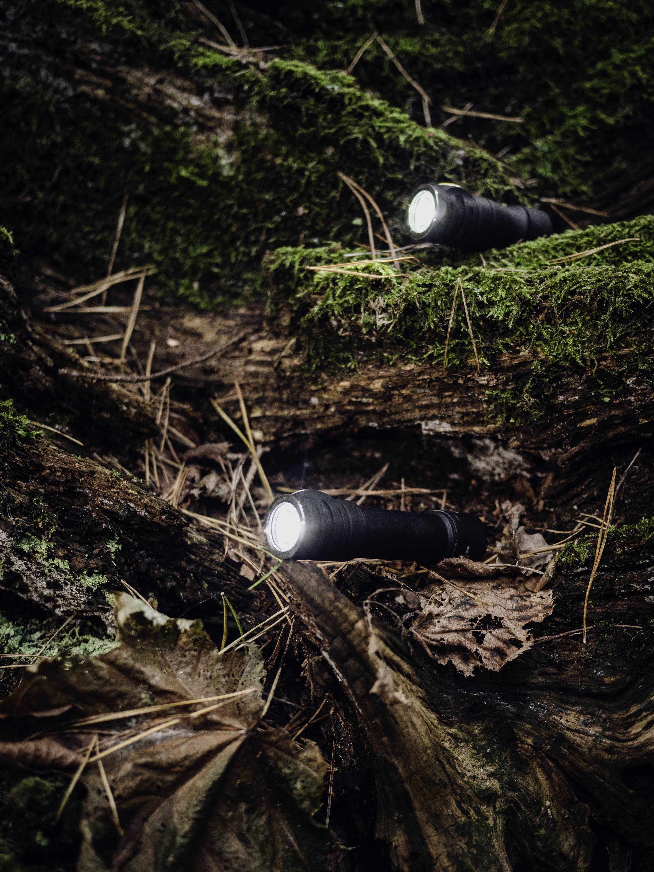 Två ficklampor lyser i en tät skog på ett mossbevuxet underlag, omgiven av löv och grenar.