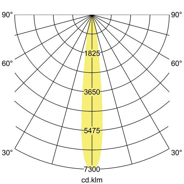 Polärdiagram för en armatur med brett spridningsvinkel, där ljuskäglan sträcker sig från 30° till 90°. Maximal effekt vid 7300 cd.