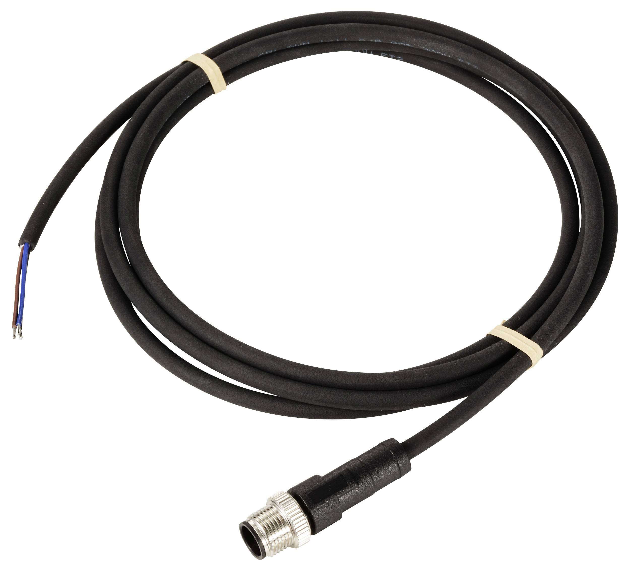 En svart kabel med en metallkontakt i ena änden och nakna trådar i den andra. Den är bunden i en slinga.