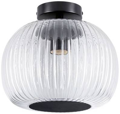 Paulmann 71146 Ruya Takbelysning  E27  60 W Glas, Svart (matt)