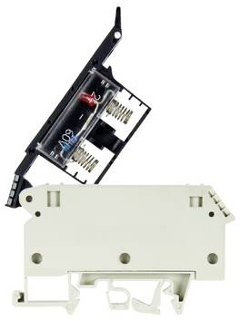 Wieland Electric 57.904.5655.0 Säkringsplint 6 mm Skruv  Grå 50 st Piece