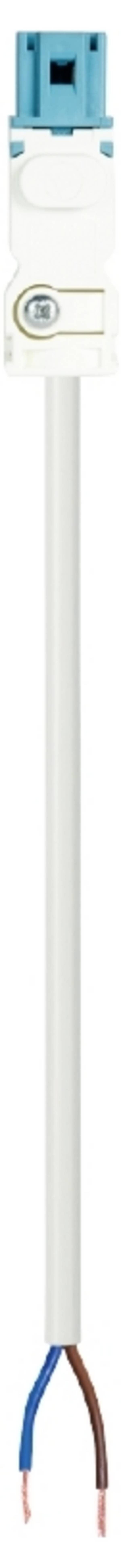 Wieland Electric 91.222.5064.9  Anslutningskabel  Vit 5 m