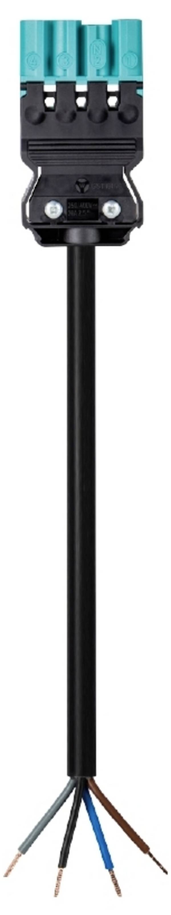 Wieland Electric 92.207.7064.8  Anslutningskabel  Svart 7 m