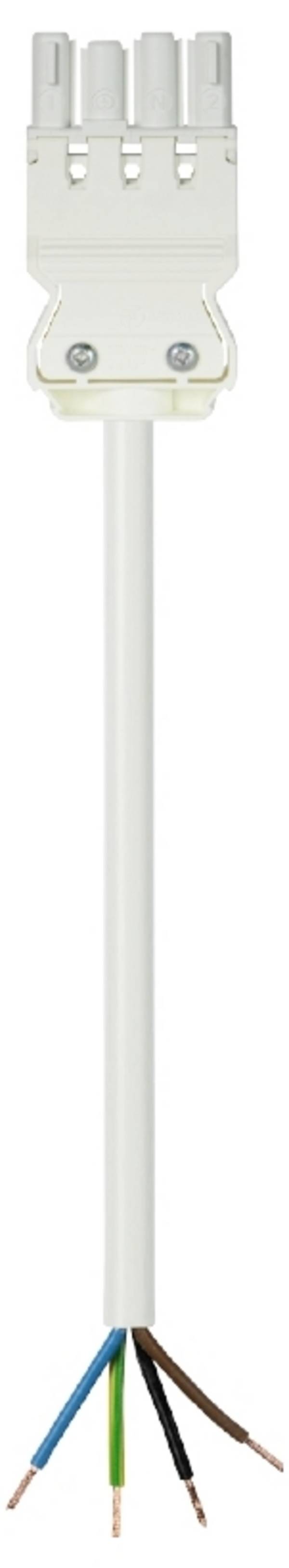 Wieland Electric 92.207.8003.2  Anslutningskabel  Vit 8 m