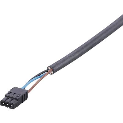 En svart kabel med tre färgade innerkablar (blå, brun, svart) som slutar i en liten kontakt.
