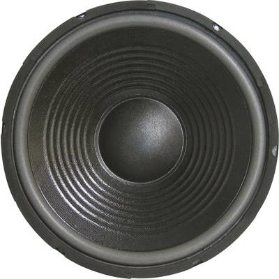 Sintron 203377 30 cm PA-subwoofer 300 W 8 Ω