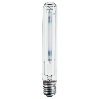 En transparent glödlampa med metallbas.
