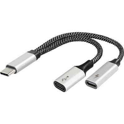 Tvådelad adapter med USB-C-kontakt och två uttag: ett märkt med USB-symbol, det andra med blixtsymbol för data och ström.