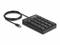 Extern numeriskt tangentbord i svart med USB Type-C-anslutning, innehåller siffernycklar och funktionstangenter överst.