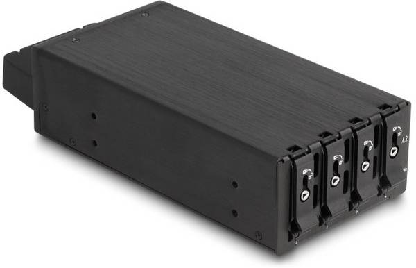 Delock 47126 Hårddisksläde M.2, SAS
