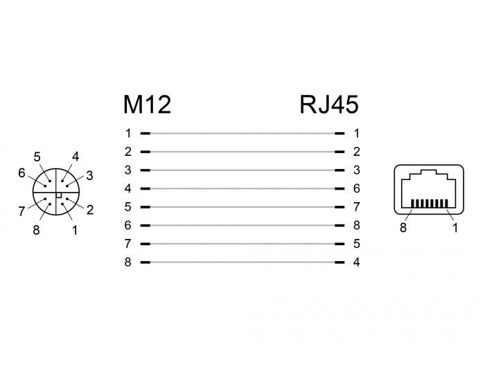 Delock M 12 / RJ45 Nätverk Adapter Kabel [1x M12-uttag - 1x RJ45 hona] Svart-3
