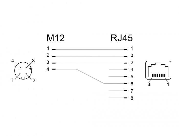 Delock M 12 / RJ45 Nätverk Adapter Kabel [1x M12-uttag - 1x RJ45 hona] Svart-3