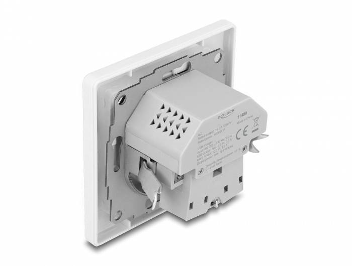 Delock 11499 Vägguttag för inbyggnad med USB-C®, USB-uttag Vit-2