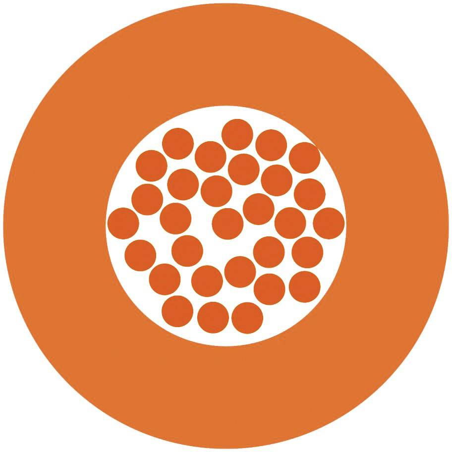 Cirkelformat design med en orange cirkel, innehållande mindre orange punkter på vit bakgrund, symboliserar mångfald eller konnektivitet.