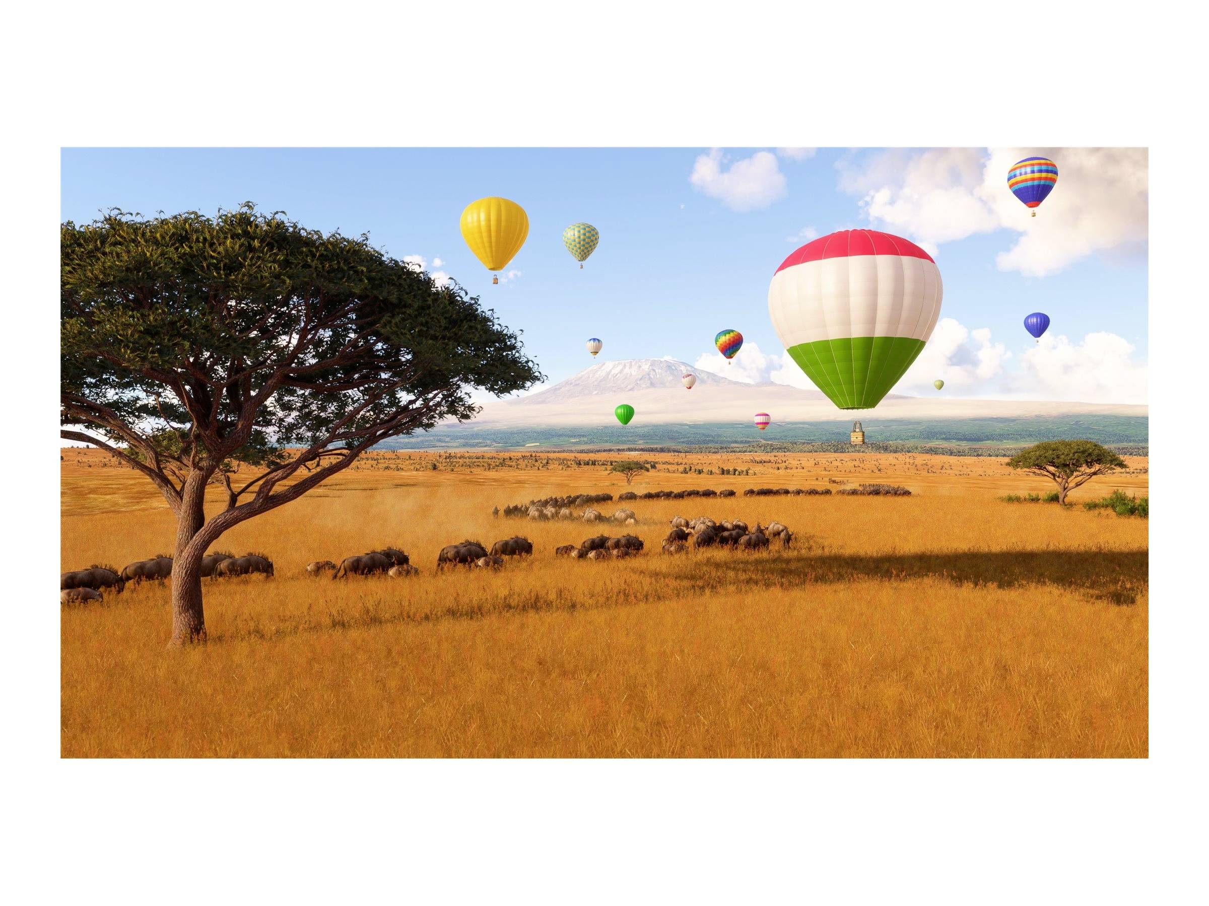 En savannlandskap med luftballonger på himlen, träd och en buffelhjord i förgrunden; ett berg i horisonten.