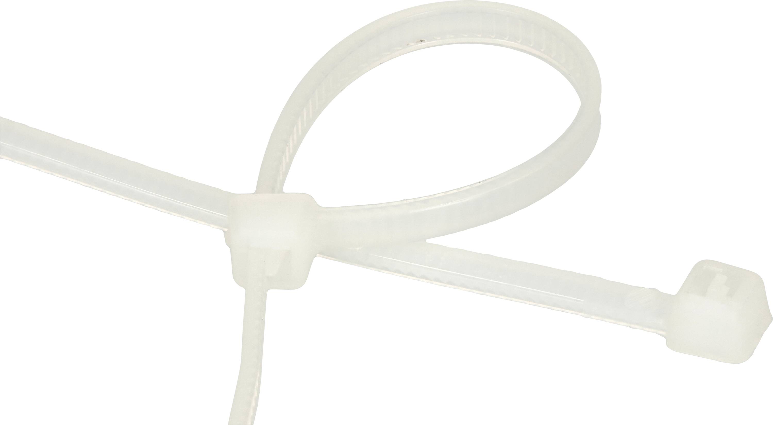 Max Hauri 111623 Buntband 100 mm 2.5 mm Natur 100 st