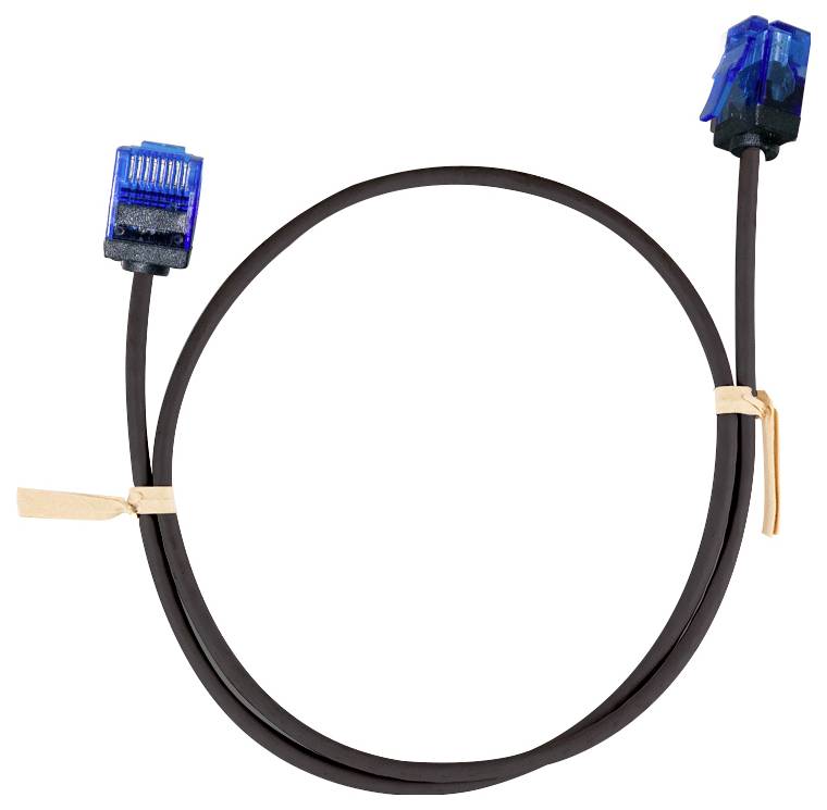 Upprulle Ethernet-kabel med blå RJ45-kontakter i båda ändar, isolerad på vit bakgrund.