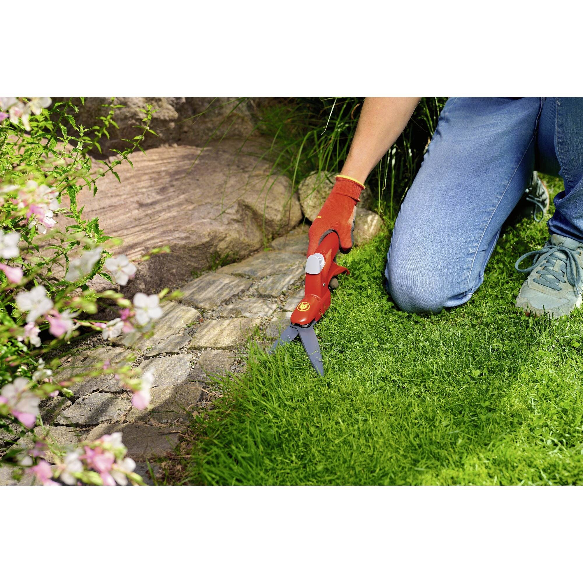 En person knäböjer på gräsmattan och klipper kanten av gräset längs en stenlagd gång med en röd trädgårdssax. Blommor blommar till vänster.