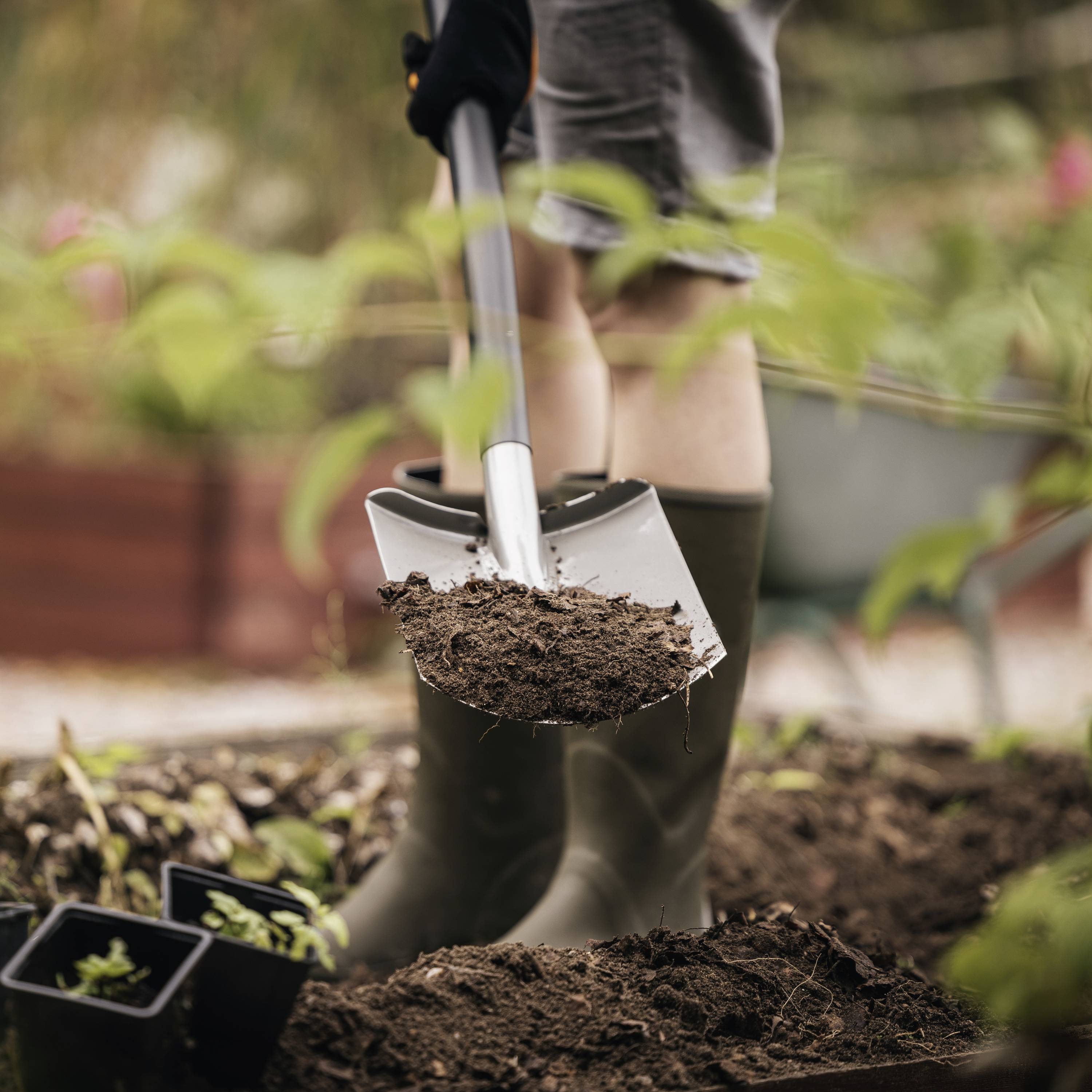 En person som gräver jorden med en spade i trädgården, bär gummistövlar; i förgrunden finns plantor i krukor.