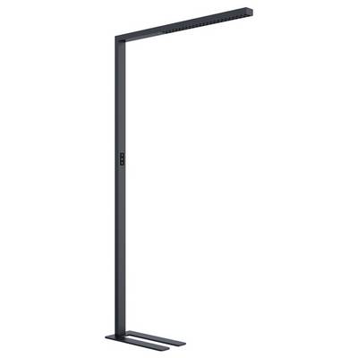 En slank, fristående golvlampa med rektangulär skärm upptill, i modern, minimalistisk design.