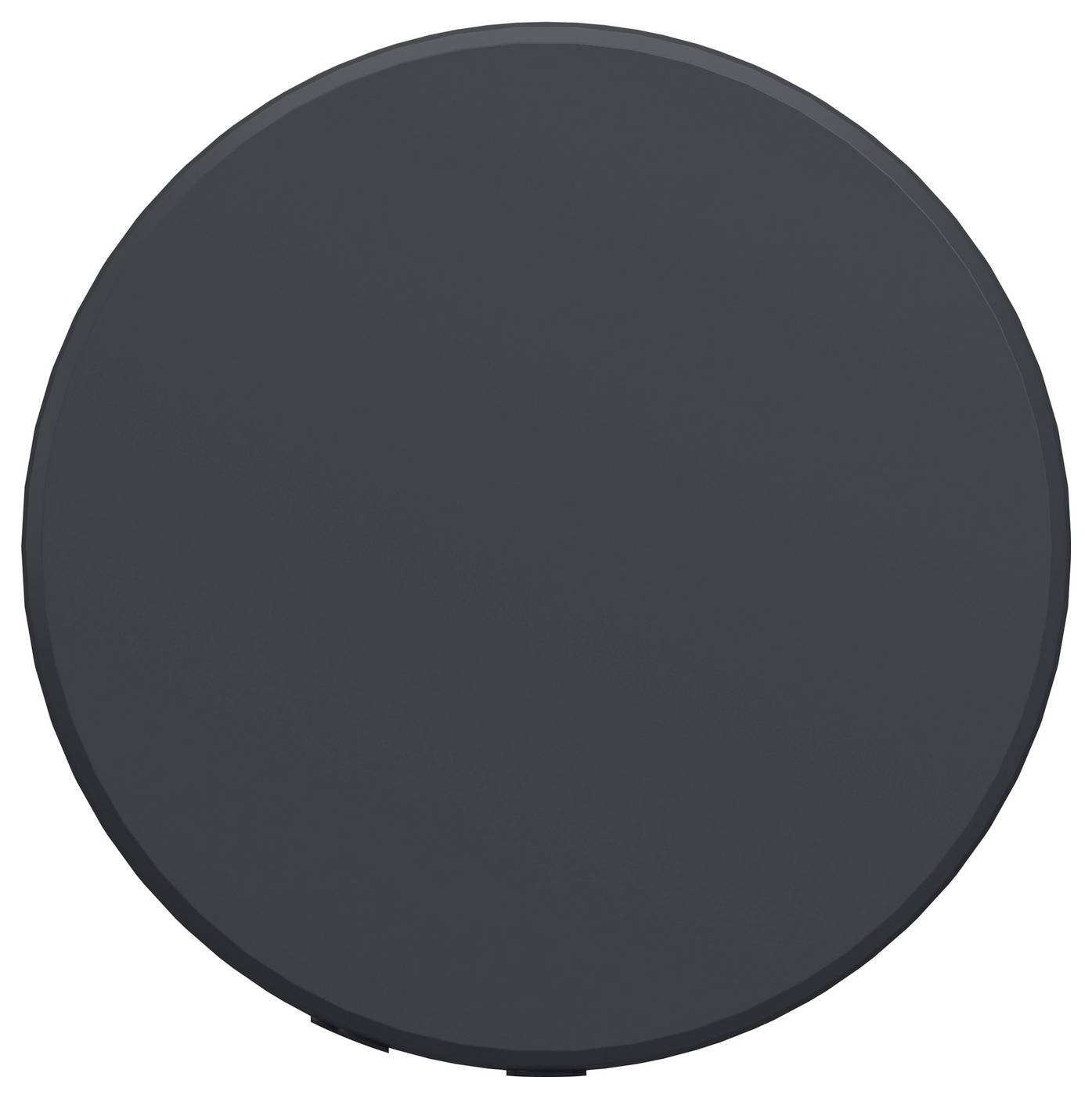 Mörkgrå cirkulär objekt med en liten skårning längst ned, visad på en vit bakgrund.