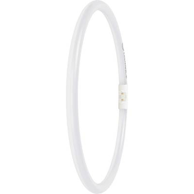 En cirkulär lysrörslampa med en kontakt på ena sidan, avsedd för energieffektiva belysningslösningar.