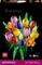 'Lego Botanicals Tulip Bukett' set för ålder 18+, med färgglada tulpan- och blomdesigner bestående av 576 delar.