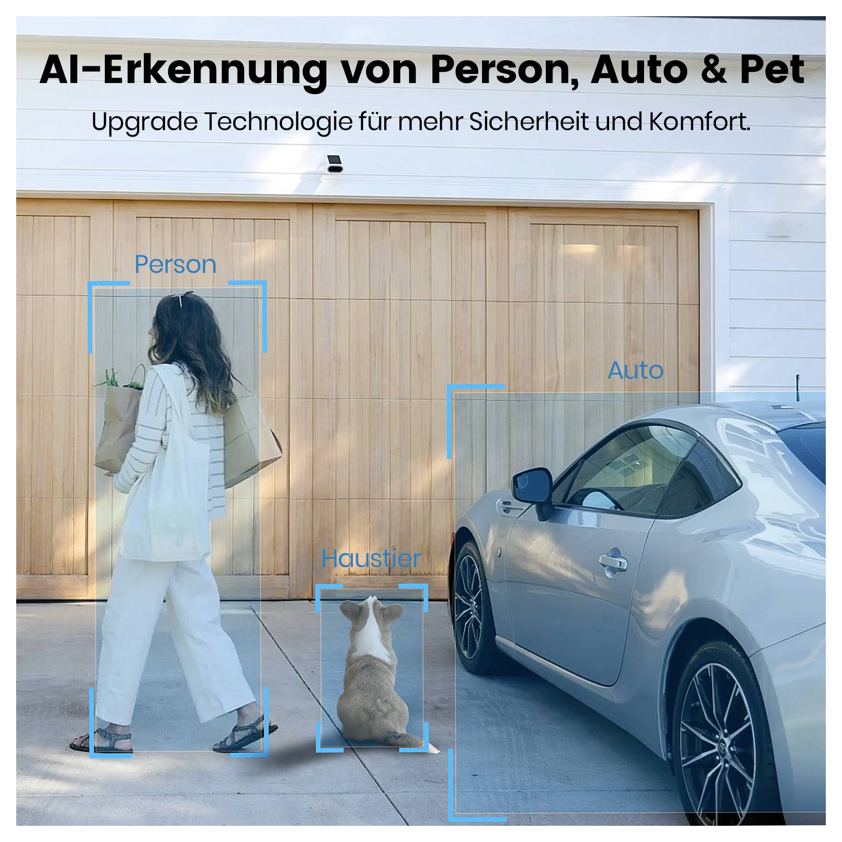 AI-identifiering av Person, Bil & Husdjur