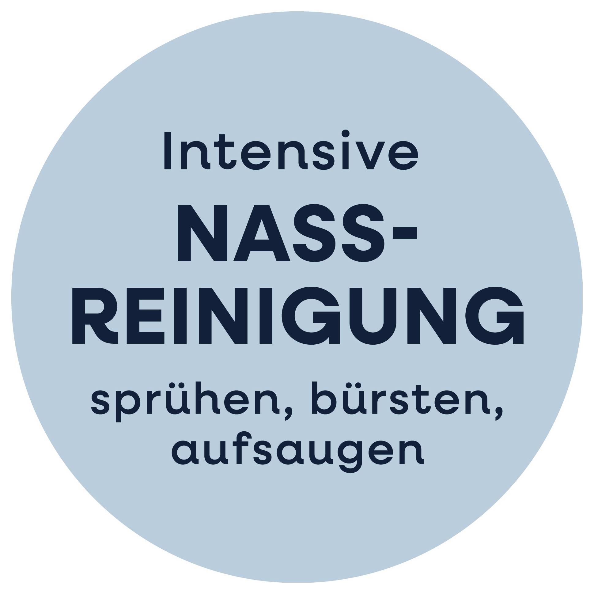 'Intensiv NASSREINIGUNG: sprühen, bürsten, aufsaugen' i blå cirkelform.
