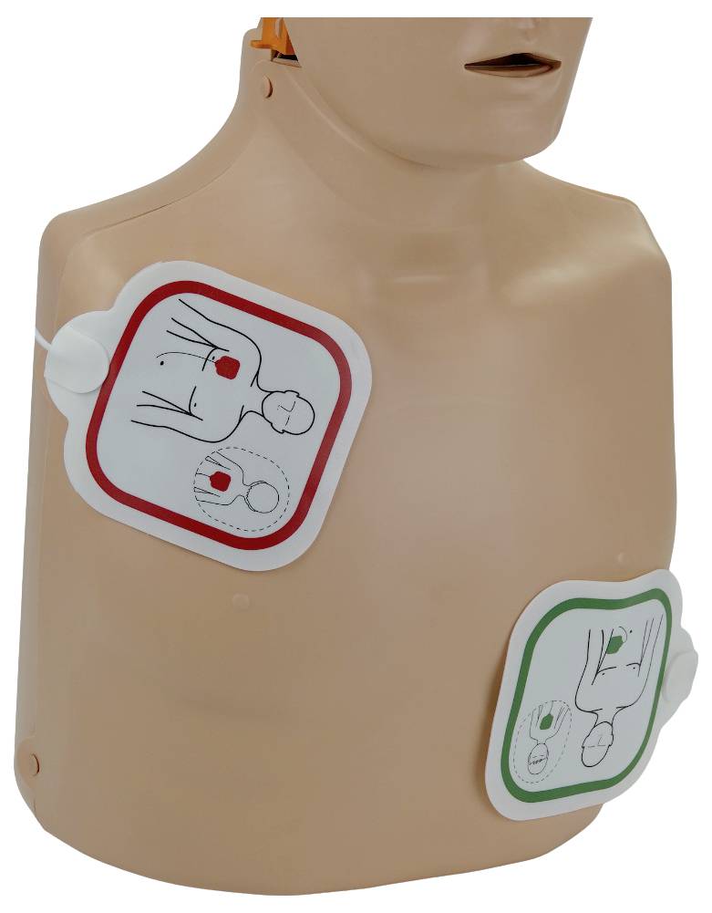 Mannequin-torso med två AED-defibrillator-elektrodkuddar fästade, visad som en HLR-träningsuppsättning.