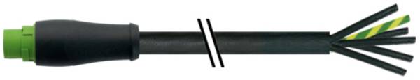 Murrelektronik 7000-P8101-P640100 Sensor/ställdons-kabel Antal poler (RJ): 6 1 st