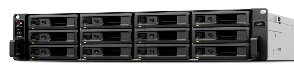 Synology NAS-Server 0 TB 12 Bay SA3410-0