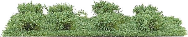 Busch 3602 Buske Sommar  20 mm