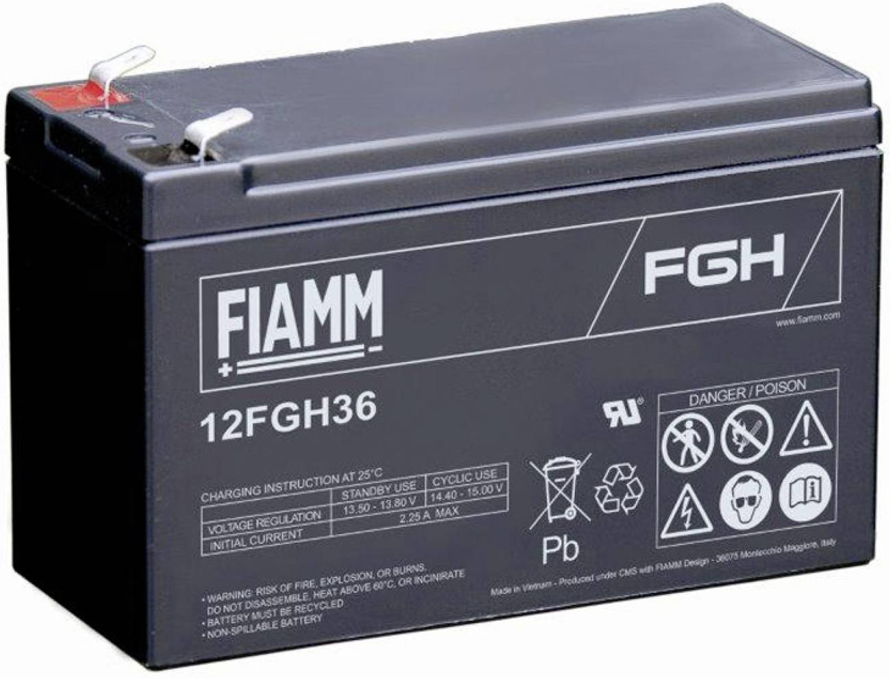 Svart FIAMM F6H 12FGH36 försegglat blybatteri med synliga positiva och negativa terminaler och varningsetiketter.