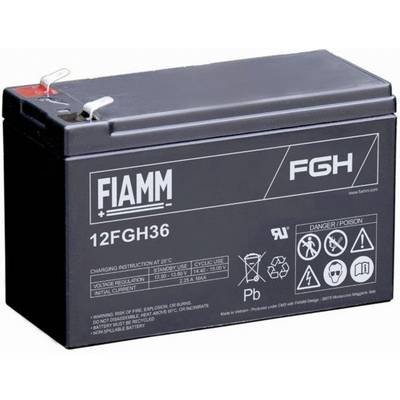 Svart FIAMM F6H 12FGH36 försegglat blybatteri med synliga positiva och negativa terminaler och varningsetiketter.