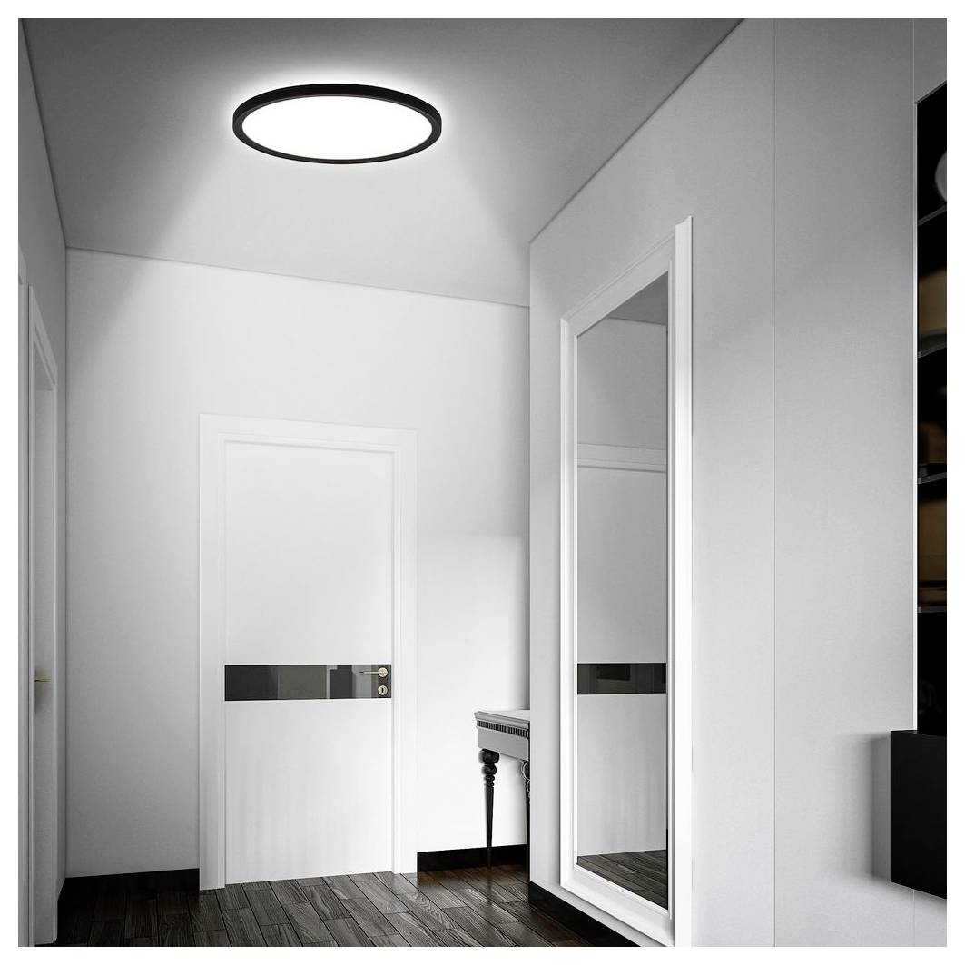 Minimal vita korridor med en vit dörr, helkroppspegesl och taklampa; mörkt trägolv och rent modernt interiör.