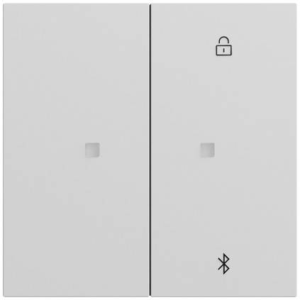 GIRA Persienn-switch 538176 1 st