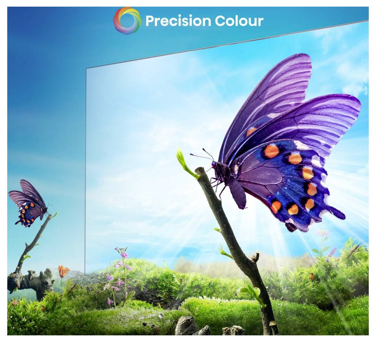 'Precision Colour' logotyp ovanför en färgrik fjärilsscen med en stor lila och blå fjäril på en gren, visad framför en inramad landskapsvy med himmel.