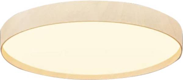 Philips 8721103173287  Takbelysning    25 W Brun