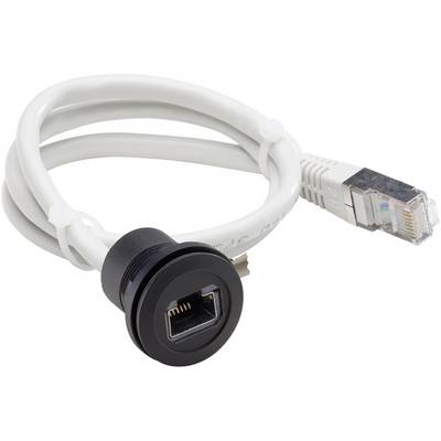 En vit Ethernet-kabel med ett svart infällt uttag och en transparent RJ-45-kontakt, visad i hopveckad form.