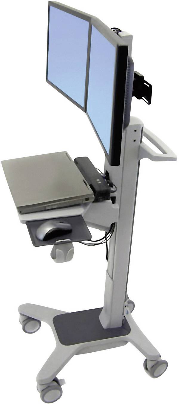 <br>  Ergotron<br>  Neo-Flex® Dual WideView WorkSpace<br>  <br>  PC-/Monitorvagn<br>  2 Skärm(ar)<br>  25,4 cm (10") - 55,9 cm (22")<br>  Grå<br>  Tangentbordsbricka, Roterbar<br>
