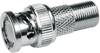 Telegärtner 100023641 100023641 BNC-Adapter BNC-hane - F-anslutning 1 st